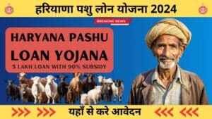 Haryana pashu loan Yojana